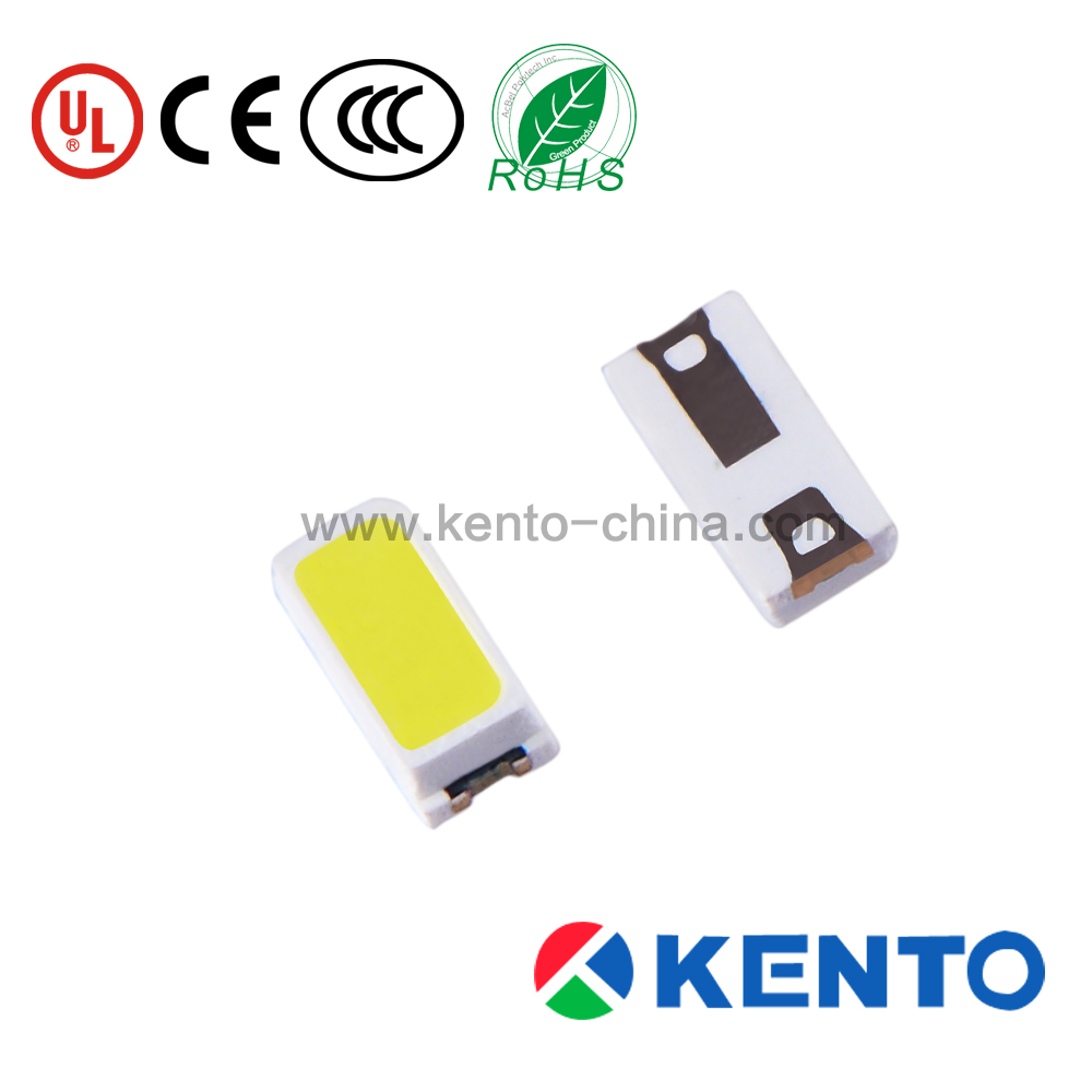 SMD3014 W